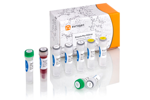 Набор Encyclo Plus PCR kit